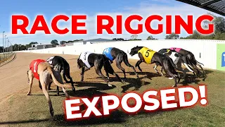 Ipswich Greyhound Race Rigging
