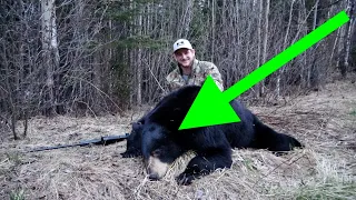 ON THE BLOOD TRAIL - SPRING BLACK BEAR HUNT - 1 KILL - ALBERTA 2020