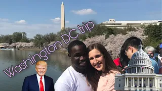 Washington vlog