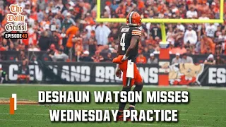 DESHAUN WATSON MISSES BROWNS WEDNESDAY PRACTICE - The Daily Grossi