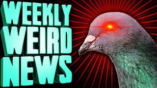 Birds Aren't Real - Weekly Weird News