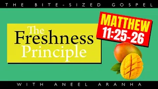 The Bite-Sized Gospel with Aneel Aranha — Matthew 11:25-26