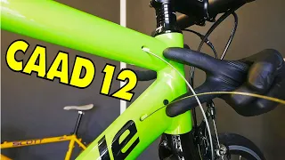 WAS This The Best Alloy Racing Bike Of All Time? @CannondaleBicycles71 CAAD 12 Review.