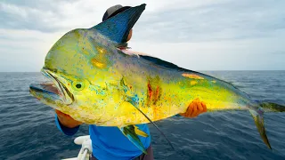 A Fishermen's Dream...GIANT Dolphin-Catch Clean Cook