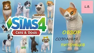 The Sims 4/Кошки и Собаки/ОБЗОР СОЗДАНИЯ ПИТОМЦЕВ