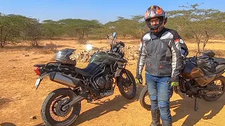 Triumph Tiger 800 XCX Owner's Review: This Is Why Tiger Is India's Preferred ADV