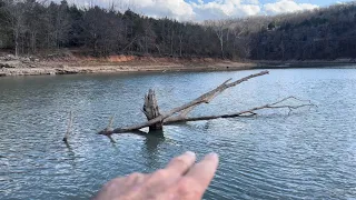 Stop Making These Newbie Mistakes Fishing Wood Cover…(On The Water Demo)