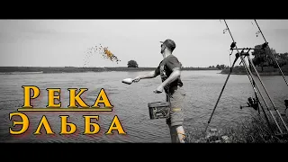 Карпфишинг Ловля Карпа на Реке | RIVER JOB | BEGINNING