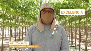 Cultura Don Ricardo: ¿Qué es cultivar lo mejor? teniendo en cuenta el valor de la EXCELENCIA.