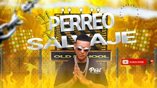 MIX PERREO SALVAJE🔥😈(Top clásicos del reggaeton)PorqueTe demoras,Bailamorena,Gasolina DEEJAYPOOL