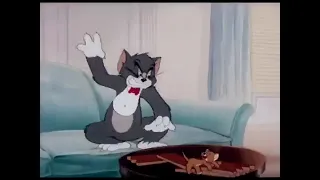 Tom And Jerry The Million Dollar Cat Ressiued Titles 1944