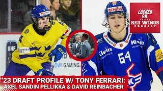 '23 Draft Profiles: Axel Sandin Pellikka & David Reinbacher | Ft. Tony Ferrari of The Hockey News