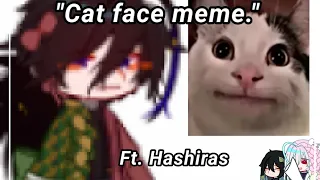 | Cat face meme | Kny | Ft. Hashiras | Read Desc | ♡♡ |