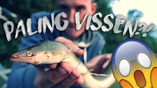 FISHING FOR EEL?! ( Paling vissen met de pen)