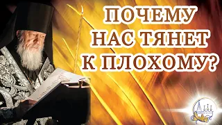 Почему нас тянет к плохому?