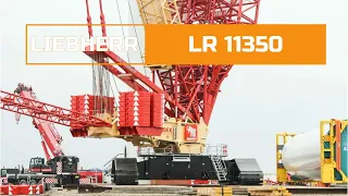 LR 11350 - crawler crane from Liebherr with outstanding load capacities