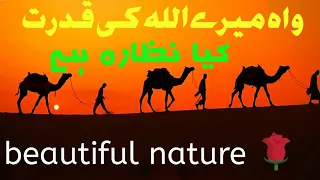 Beautiful Land and Nature 🌱🌱🌳@Picture Aria Youtube Channel