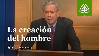 La creación del hombre: Fundamentos con R.C. Sproul : Renovando Tu Mente con R.C. Sproul