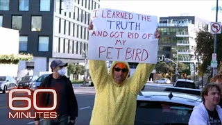 Birds Aren't Real: The conspiracy theory that satirizes conspiracy theories