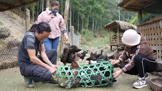 Zon makes cakes to sell at the market, sells chickens, harvests sweet potatoes, vang hoa