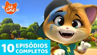 44 Gatos | 10 Episódios completos 🐈🐾 | Momentos gatásticos | Temporada 1