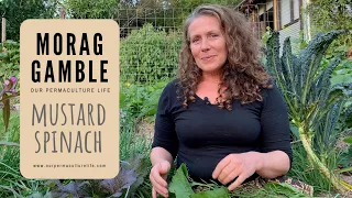 Mustard Spinach - ways to use all the plant with Morag Gamble