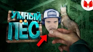 Мармок ► Blair Witch "Баги, Приколы, Фейлы" / Marmok | Реакция