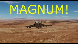 MAGNUM! SEAD mission training w/ CCIP Sweeping | ELYTRA | Digital Combat Simulator | DCS |