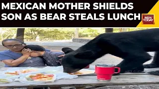 WATCH: Mexican Mother Shields Son As Bear Steals  Lunch | Viral Video