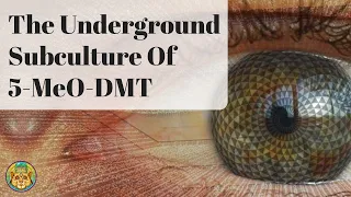 Building Best Practices In The Underground Subculture Of 5-MeO-DMT | Chad Charles ~ ATTMind 113