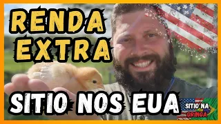 COMO FAZER RENDA EXTRA NO SITIO NOS EUA | VIDA NA AMERICA | SITIO NA GRINGA