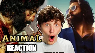 Americans React to ANIMAL Official Trailer!