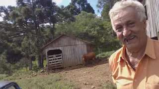 ELE NUNCA PAGOU UMA CONTA DE LUZ NA VIDA- SEU JOÃO AGOSTINHO