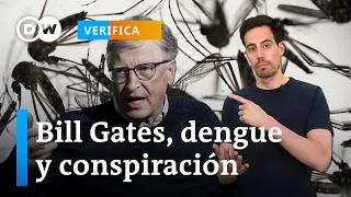 Bill Gates no extiende el dengue por Latinoamérica con mosquitos transgénicos