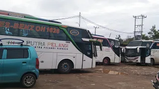 Jumpa Bang Min‼️ Sopir Ramah Bus Putra Pelangi - Marcopolo ‼️Mantap 3 Unit Bus Di Palembang