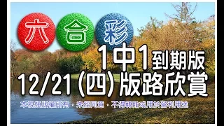 2017/12/21(四)六合彩 mark six 版路欣賞 ：1中1到期版