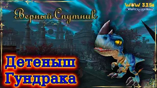 WOW - Детеныш Гундрака - "Верный Спутник"