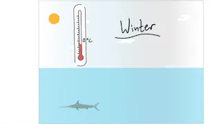 Natur und Technik: Warum erfrieren Fische im Winter nicht - Die Anomalie des Wassers