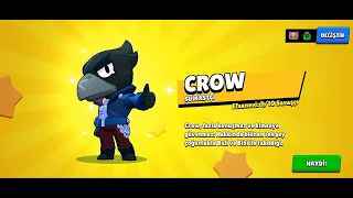 CROW ALIP MAXLADIM 🪶