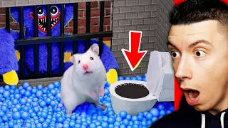 UN HAMSTER va chez HUGGY WUGGY dans LA VRAIE VIE.. (Poppy Playtime vs Hamster)