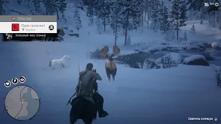 RDR 2 Самец западного лося (Wester bull moose)