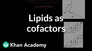 Lipids as cofactors and signaling molecules | Chemical processes | MCAT | Khan Academy