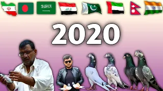 2020 Video Highlights | Ch Sakhi Muhammad Bhatti Pigeons