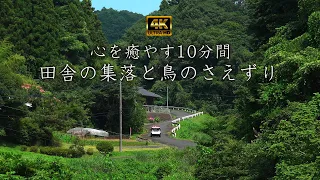 真夏の田舎にある集落に鳴り響く鳥のさえずりと自然音。のどかな里山の山道を眺めながら心癒やす10分間。仕事や勉強の疲れがとれる至福の10分。リラックスや気分転換になります。