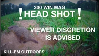 Graphic Head Shot (300 WIN MAG)