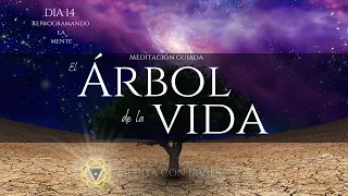 🌳Día 14, Meditación Guiada con el Árbol de la Vida /Afirmaciones de poder