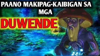 Paano Makipag Kaibigan Sa Mga Duwende |   Kaalaman | Kwento