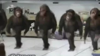 Приколы 2 (2017) г обезьяны танцуют