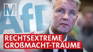 AfD und Europa: rechtsextreme Großmachtträume - MONITOR