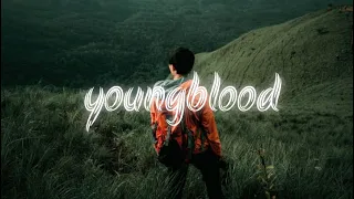 Youngblood - 5 Seconds of summer [ Arc north & Cour & Charlie miller][lyrics]